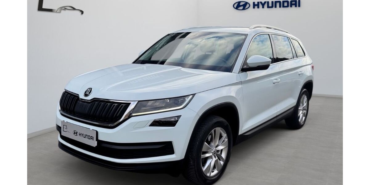 Skoda Kodiaq 161.299 km 15.990 &euro; Contwig 66497
