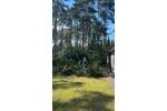 Einfamilienhaus Ebstorf - 5 Zimmer, 120 m&sup2;, 139.000&euro; | Angebot:27034995