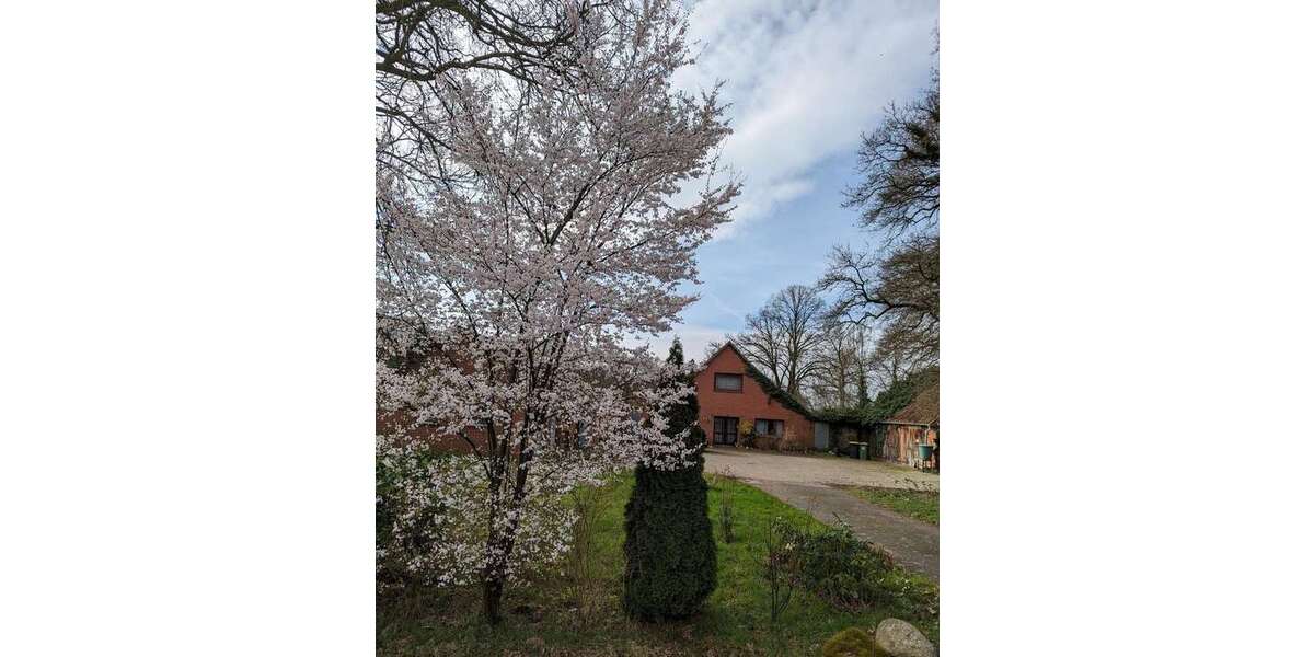 Einfamilienhaus Hude - 8 Zimmer, 230 m&sup2;, 380.000&euro; | Angebot:26950957