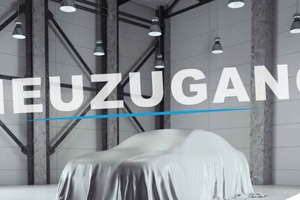 Dacia Spring 32.225 km 9.480 &euro; Bornheim 53332