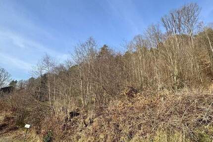 Grundstück Kaiserslautern Mölschbach - 99.000&euro; | Angebot:24700016