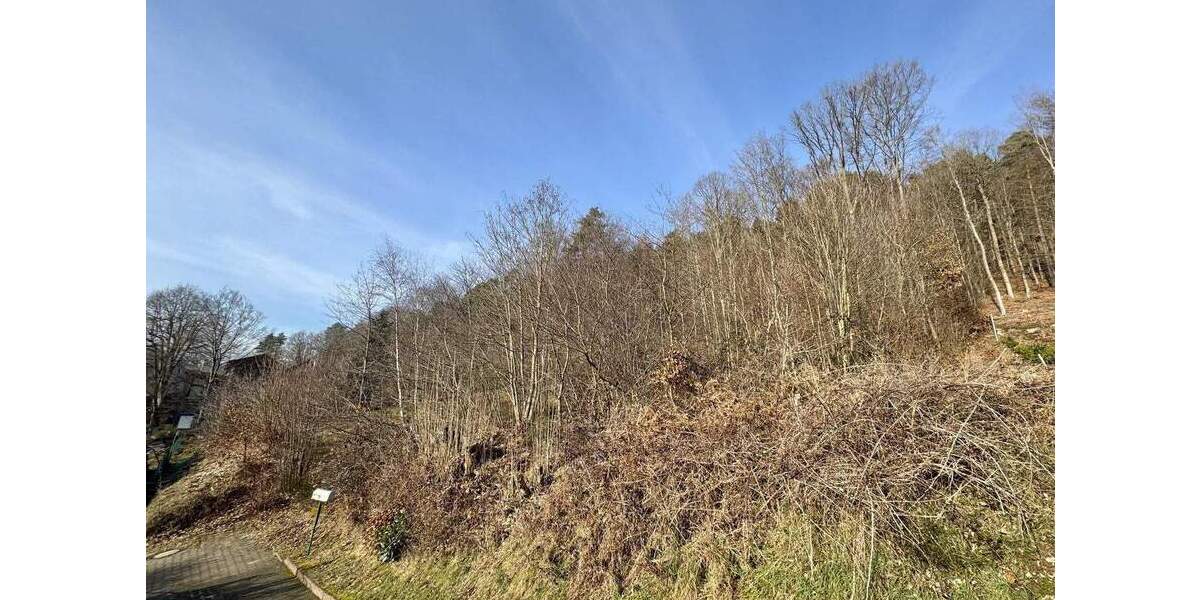 Kaiserslautern - Stadtteil Mölschbach: Schönes Baugrundstück in Ortsrandlage zimmer