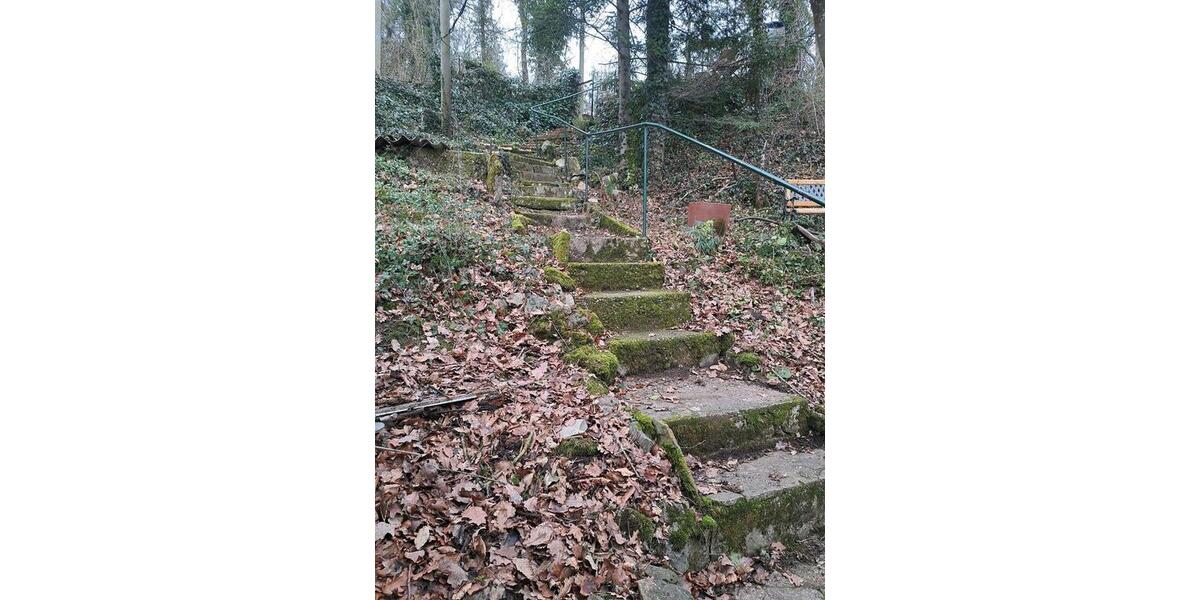 Waldhaus, TinyHaus, Wochenend Ferienhaus, kein fester Wohnsitz 1 zimmer