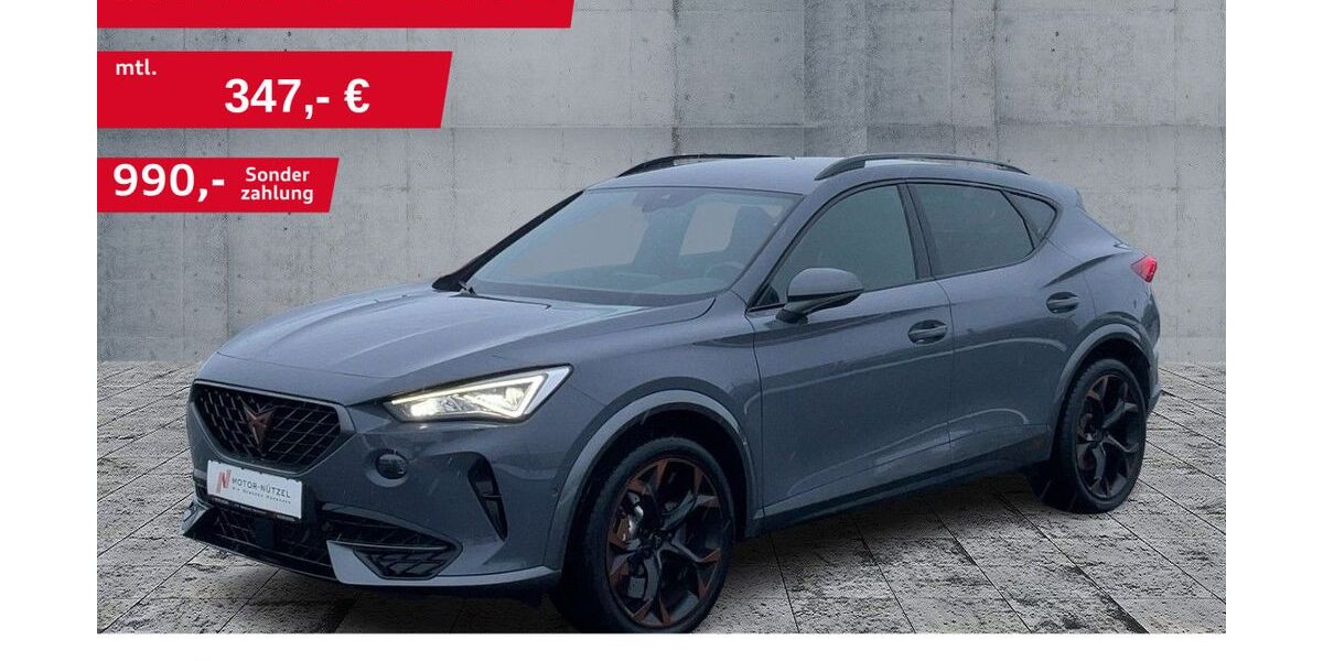 Cupra Formentor 63.565 km 26.880 &euro; Hof 95030