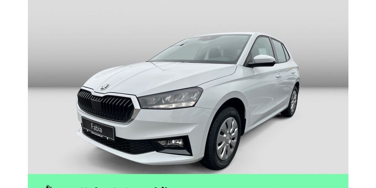 Skoda Fabia 1.111 km 21.690 &euro; Weinstadt-Endersbach 71384
