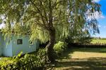 Bungalow Ribnitz-Damgarten Damgarten - 2 Zimmer, 25 m&sup2;, 75.000&euro; | Angebot:26415136