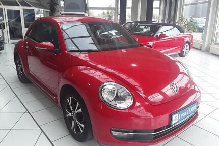 VW Beetle