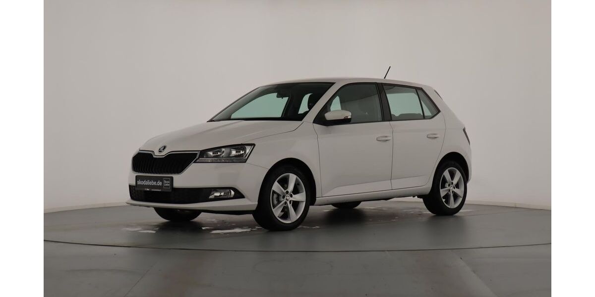 Skoda Fabia 79.999 km 9.889 &euro; Halle (Saale) 06126