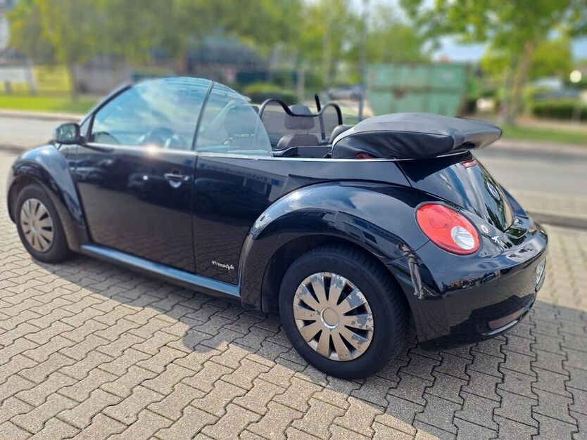 Beetle