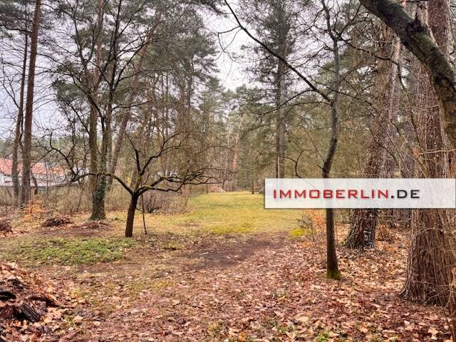 Grundstück Beelitz / Fichtenwalde Fichtenwalde - 695.000&euro; | Angebot:26155041