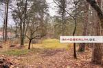 Grundstück Beelitz / Fichtenwalde Fichtenwalde - 695.000&euro; | Angebot:26155041