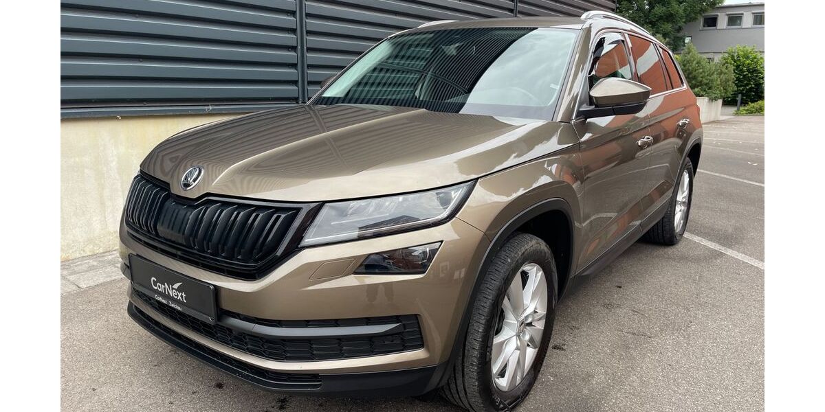 Skoda Kodiaq 158.000 km 16.980 &euro; Zwickau 08056