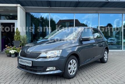 Skoda Fabia 18.500 km 12.450 € Bad Münder 31848