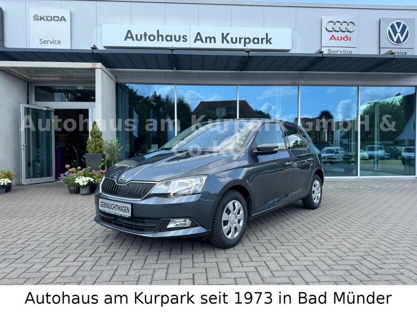 Skoda Fabia 18.500 km 12.450 € Bad Münder 31848