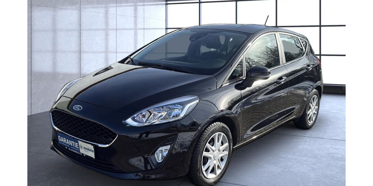 Ford Fiesta 109.986 km 8.500 &euro; Brand-Erbisdorf 09618