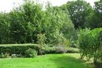 Großraum-Appartement mit Terrasse und Garten in Bonner Höhenlage - 1- Bonn Bad Godesberg | Angebot:26305714