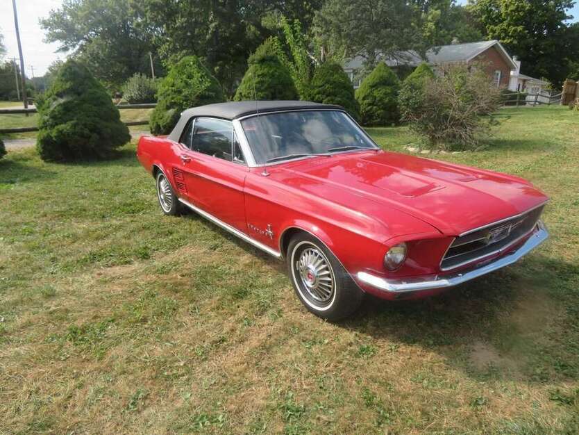 Mustang