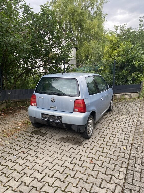 Lupo