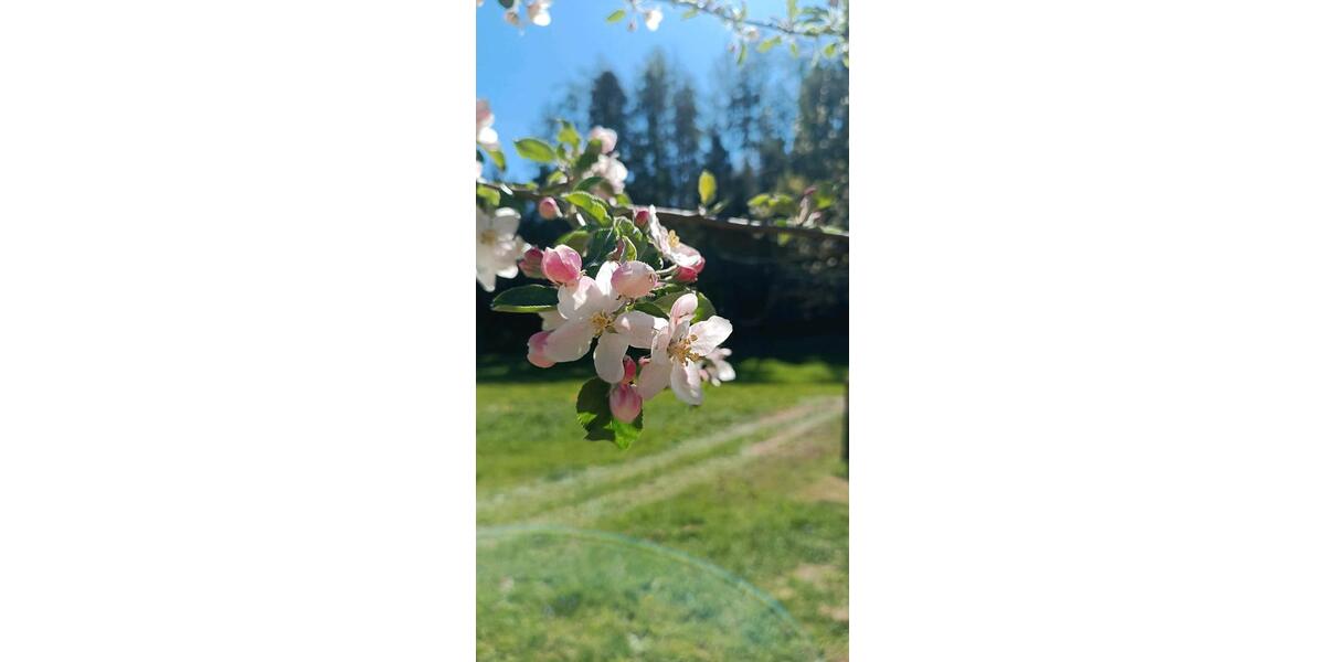 Gewerbeobjekt Ortenburg - 25&euro; | Angebot:26331229