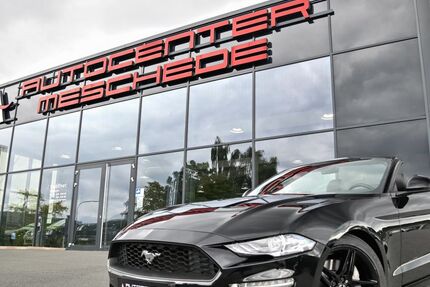 Ford Mustang 33.068 km 36.890 &euro; Meschede/NRW 59872