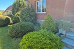 Einfamilienhaus Plau am See - 4 Zimmer, 110 m&sup2;, 195.000&euro; | Angebot:26658275