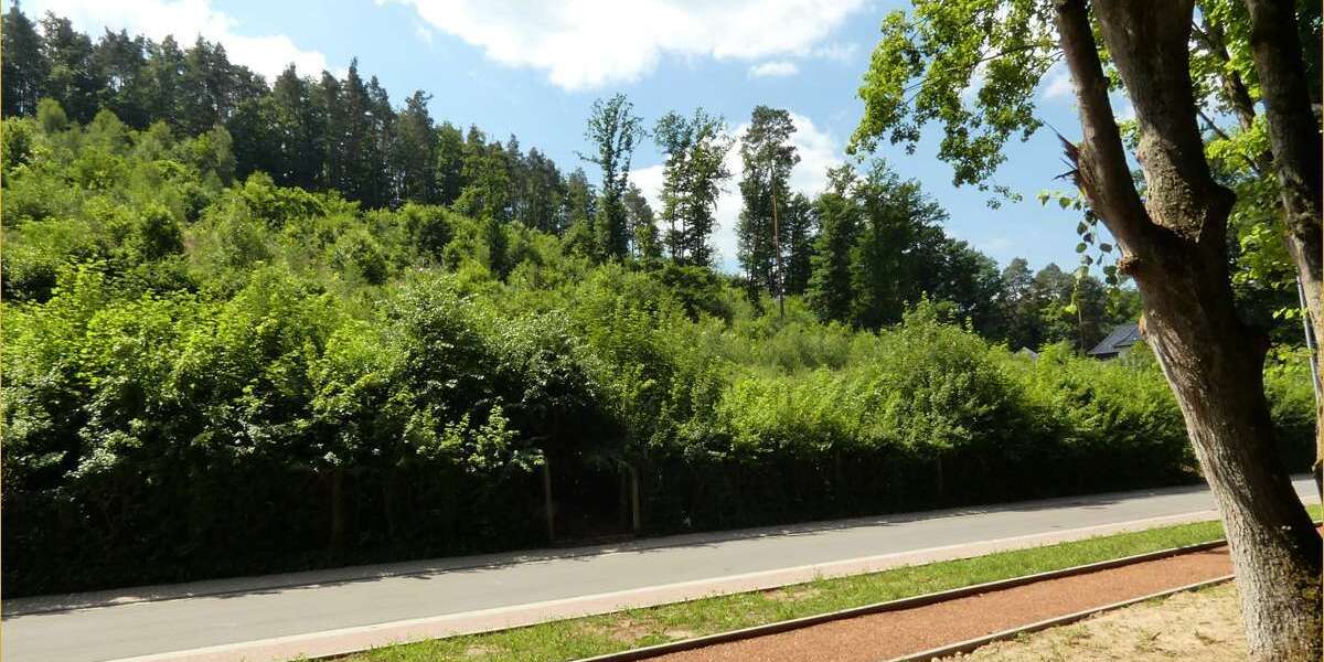 Grundstück Rodalben - 149.000&euro; | Angebot:25073369