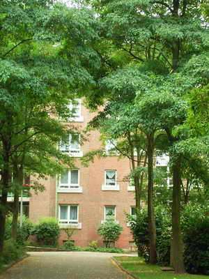 Wohnung zum Mieten in Witten 245,90 € 44.62 m²