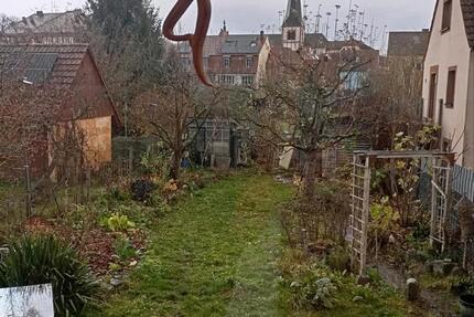 Wg mit Garten und Sauna zur Zwischenmiete bis Mitte April 1 zimmer