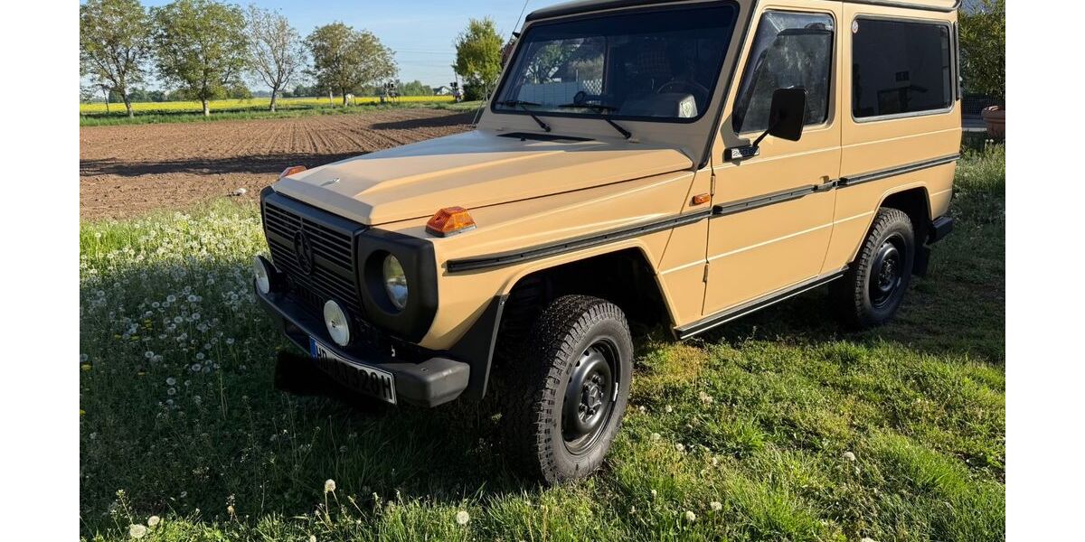 Mercedes-Benz G 240 43.280 km 24.800 &euro; Heddesheim 68542
