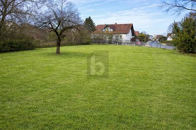 EXKLUSIVER RAUM MIT POTENZIAL - Grundstück Buttenheim | Angebot:26993955