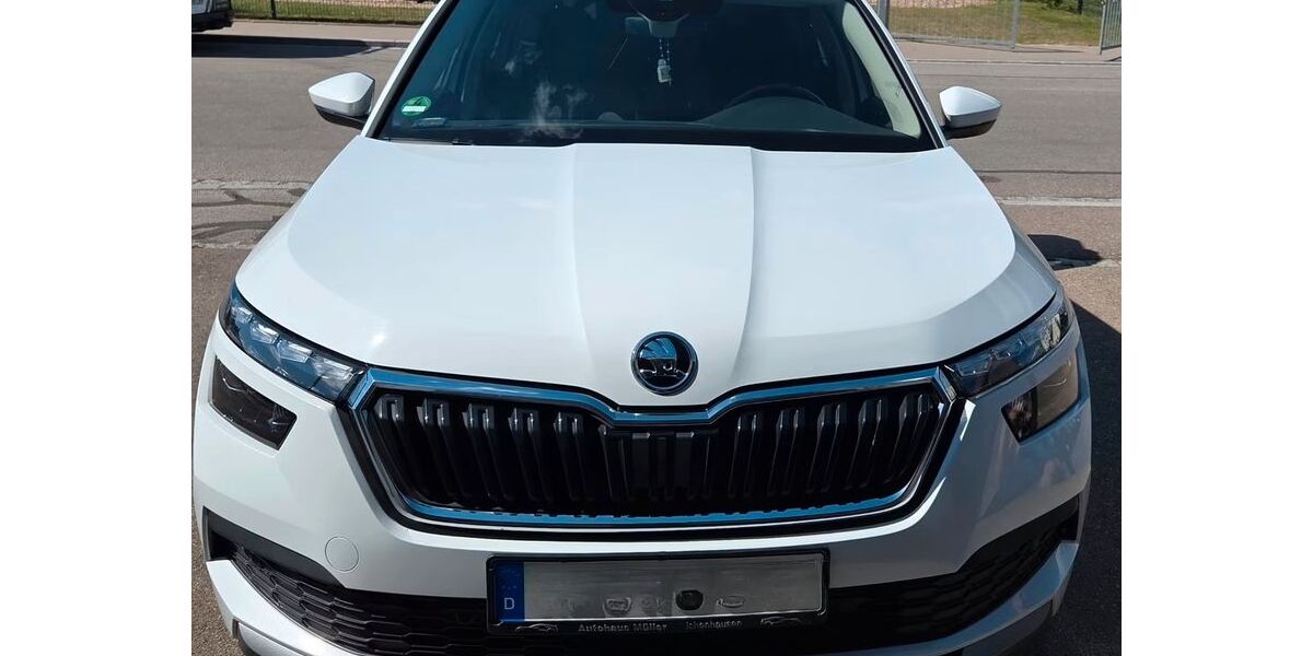 Skoda Kamiq 94.000 km 16.500 &euro; Ludwigshafen Am Rhein 67059
