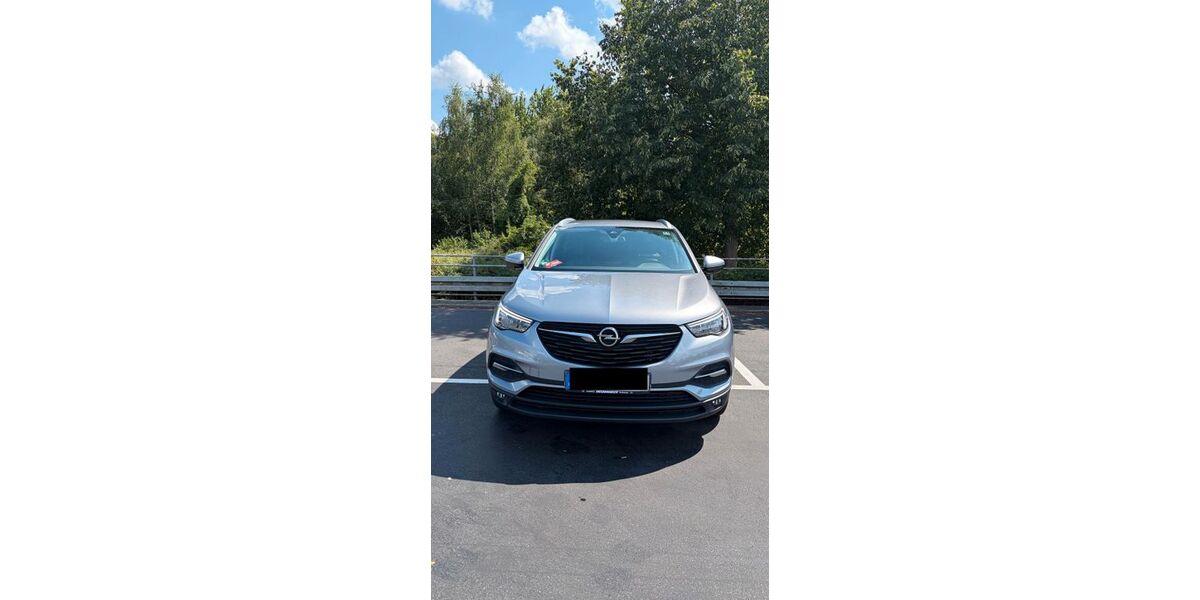 Opel Grandland (X) 79.700 km 8.600 &euro; Niestetal 34266