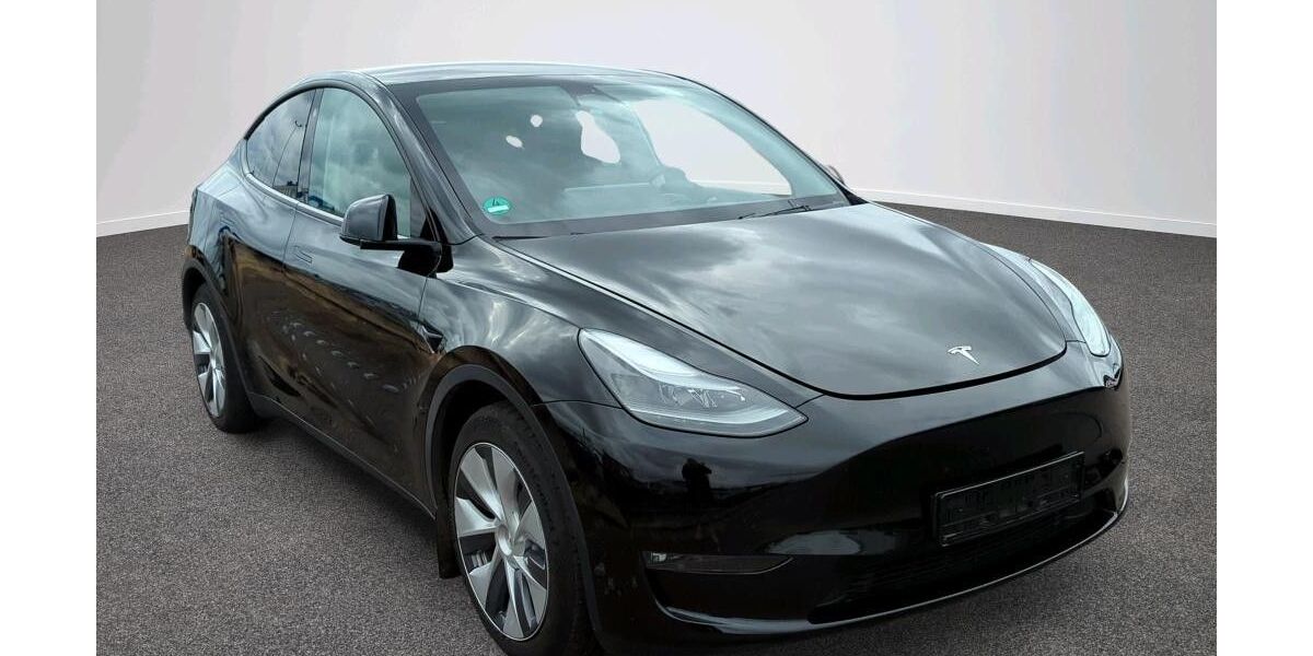 Tesla Model Y 60.000 km 34.990 &euro; Kirchberg/Untermitterdorf 94259