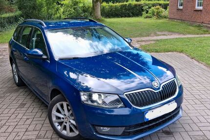 Skoda Octavia 220.000 km 5.200 &euro; Wiemersdorf 24649