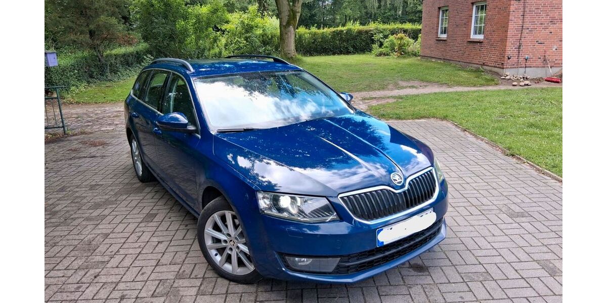 Skoda Octavia 220.000 km 5.200 &euro; Wiemersdorf 24649