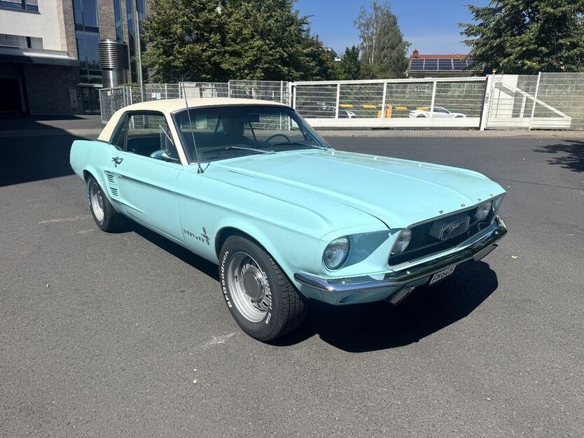 Mustang