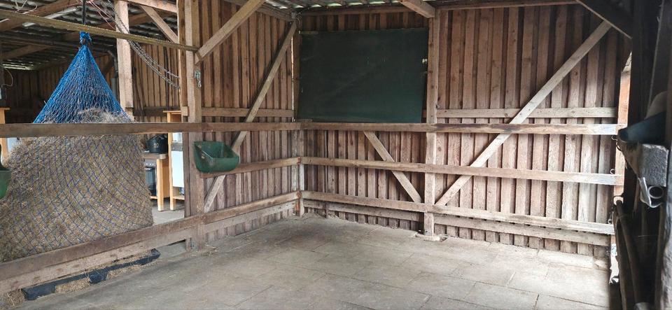 Einfamilienhaus Walsrode - 6 Zimmer, 150 m&sup2;, 430.000&euro; | Angebot:26992003