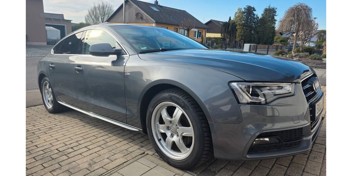 Audi A5 165.000 km 14.800 &euro; Burglengenfeld 93133