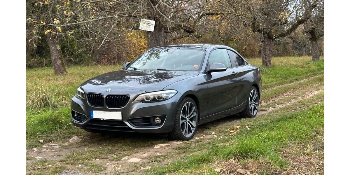 BMW 218 94.000 km 20.190 &euro; Frankfurt 60389