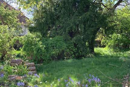 Grundstück Oberursel (Taunus) - 795.000&euro; | Angebot:26825554