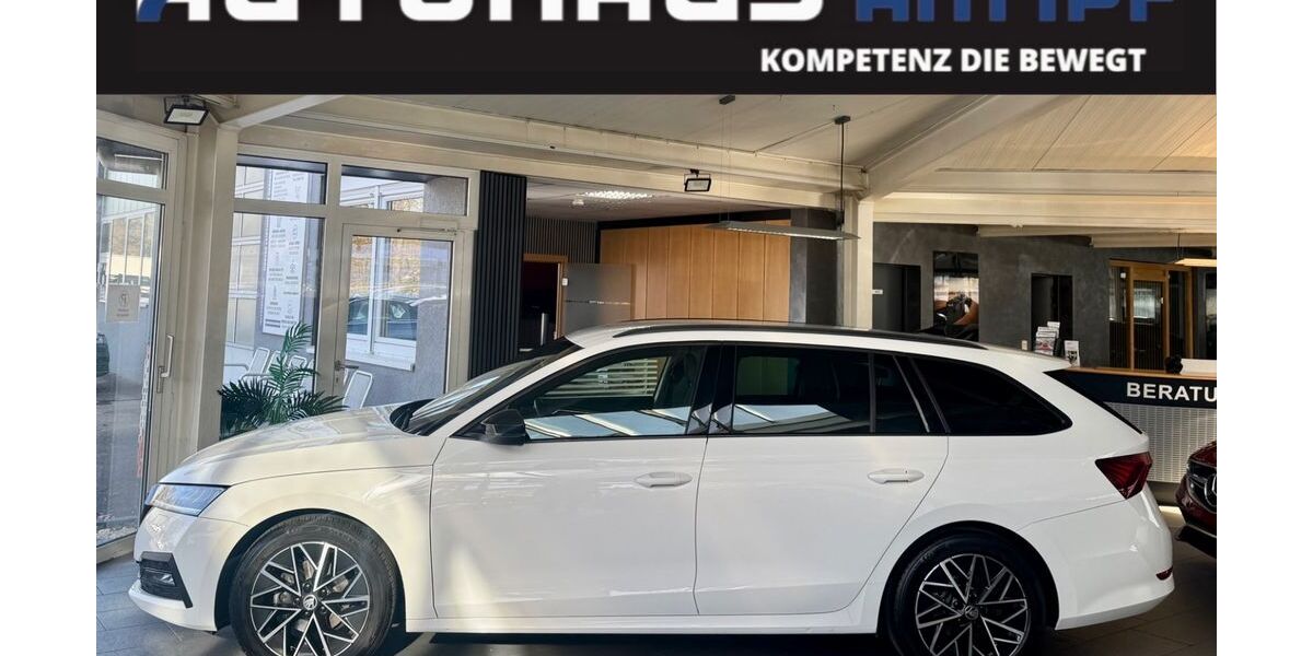 Skoda Octavia 90.800 km 23.490 &euro; Bopfingen 73441