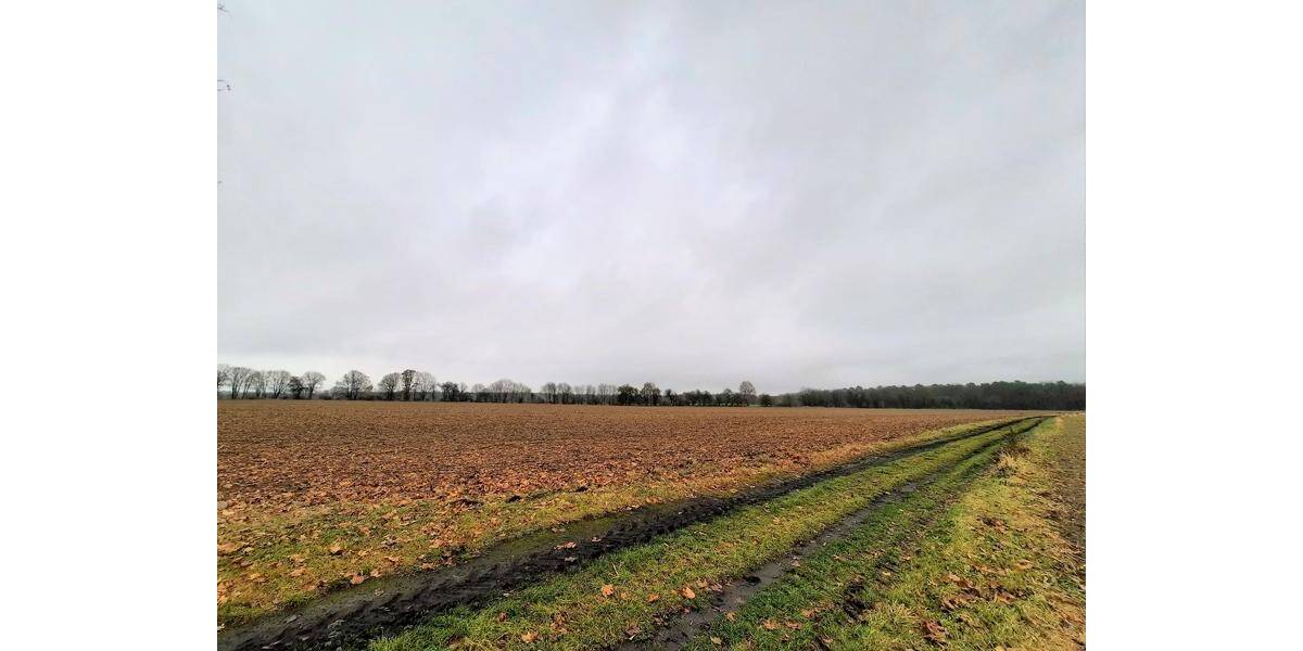 Grundstück Altlandsberg Fasanenpark - 1.190.000&euro; | Angebot:25775806