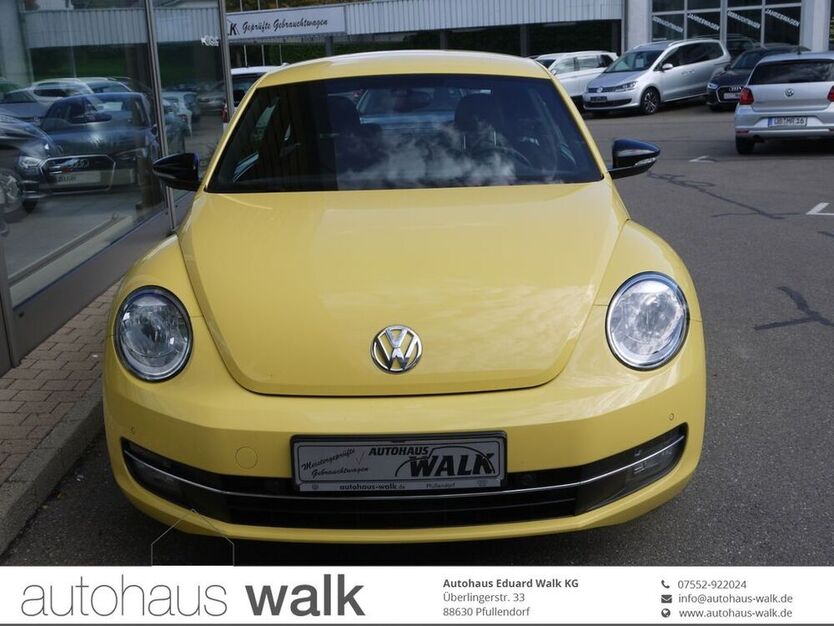 Beetle