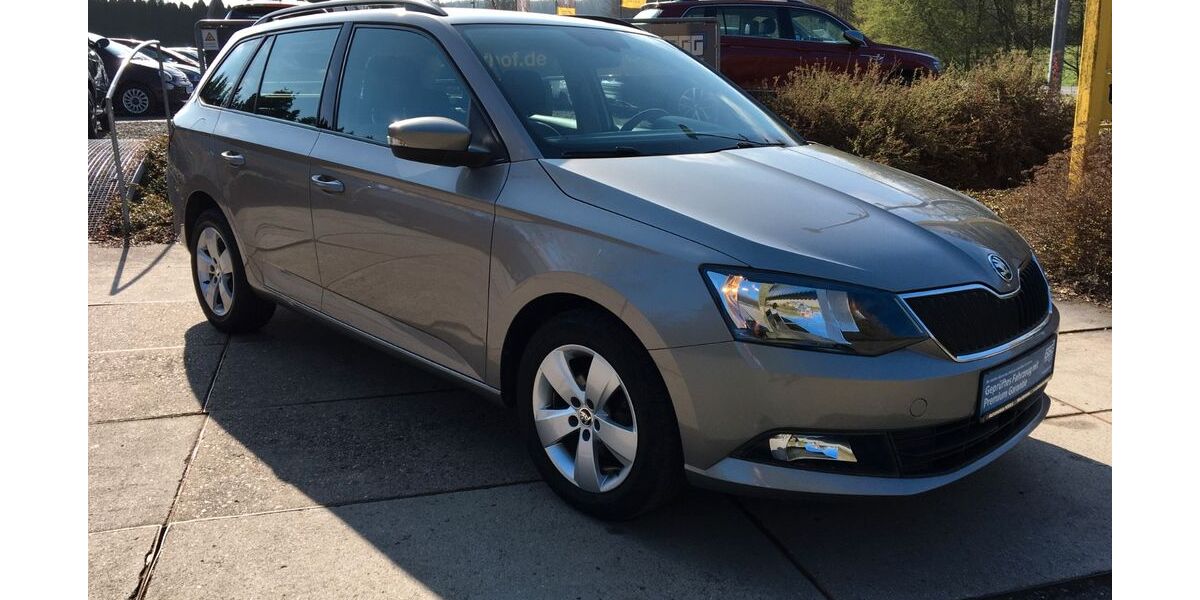 Skoda Fabia 100.560 km 8.990 &euro; Neuensalz - Mechelgrün 08541