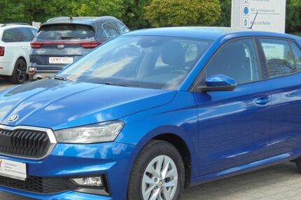 Skoda Fabia 41.130 km 16.870 &euro; Elsterwerda 04910