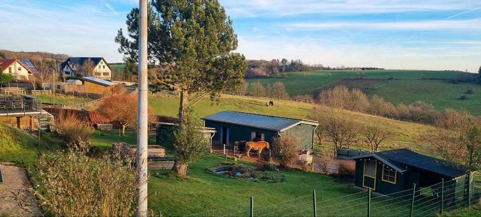 Einfamilienhaus Blankenheim - 5 Zimmer, 140 m&sup2;, 254.000&euro; | Angebot:24306806