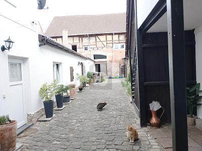 GRÖSSE AUF DEN ZWEITEN BLICK - Mehrfamilienhaus, Wohnhaus Großostheim | Angebot:27229264