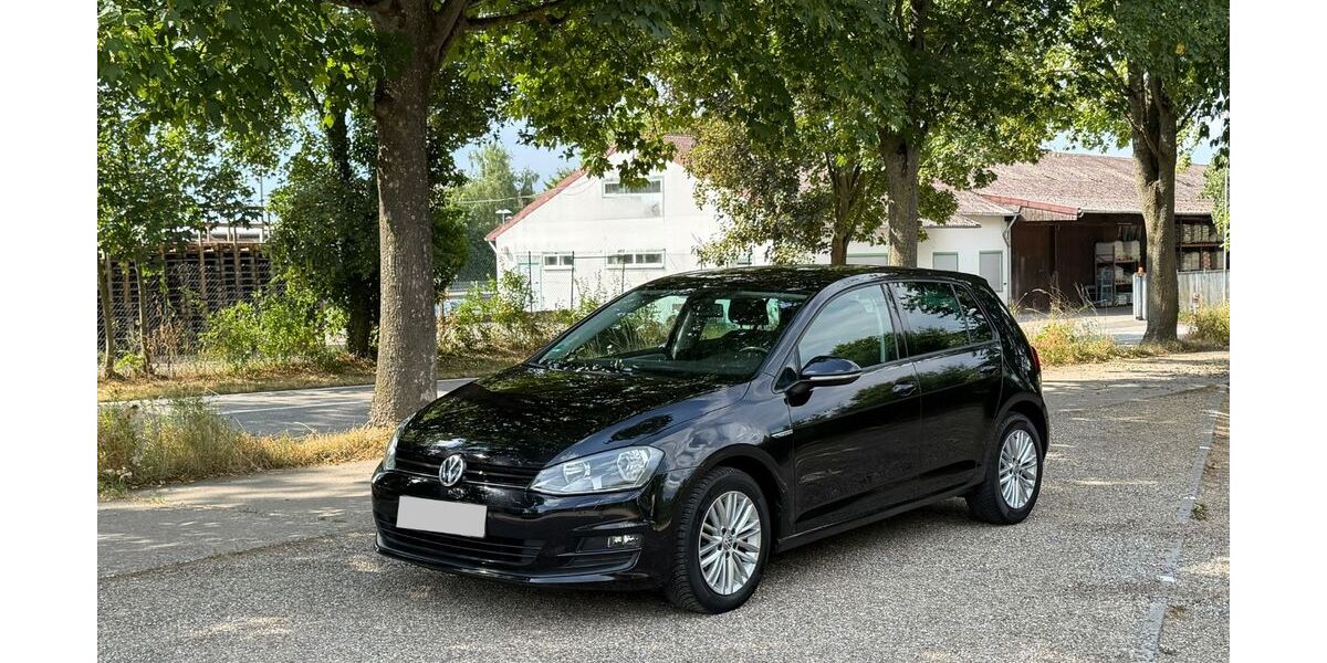 VW Golf 120.000 km 8.750 &euro; Schifferstadt 67105