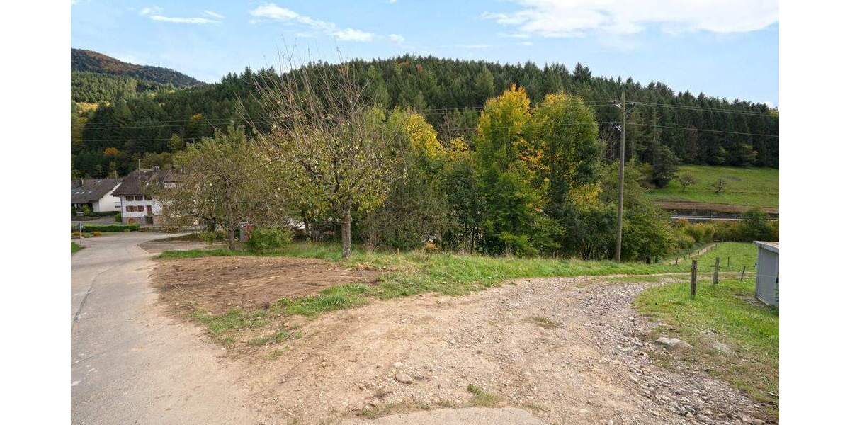 Grundstück Simonswald - 209.000&euro; | Angebot:25747047