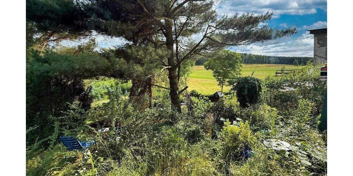Grundstück Bad Schmiedeberg Großwig - 44.000&euro; | Angebot:25679426